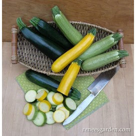Zucchini Tricolor: Salman, Golden Delight and Raven by Renee's Seeds