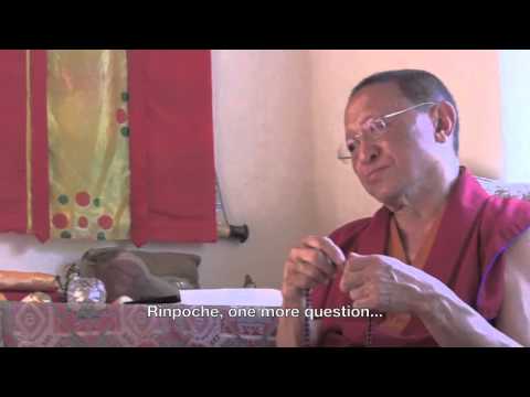 Sadness, Love, Openess: The Buddhist Path of Joy by Chokyi Nyima Rinpoche