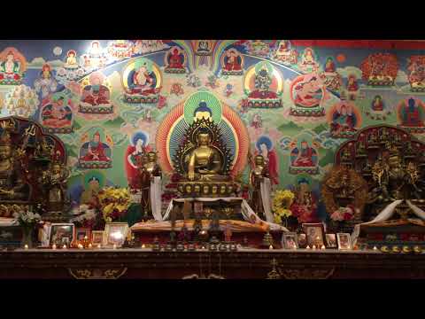 Tara's Enlightened Activity by Khenchen Palden Sherab & Khenpo Tsewang Dongyal