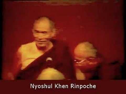 The Fearless Lion's Roar by Nyoshul Khen Rinpoche